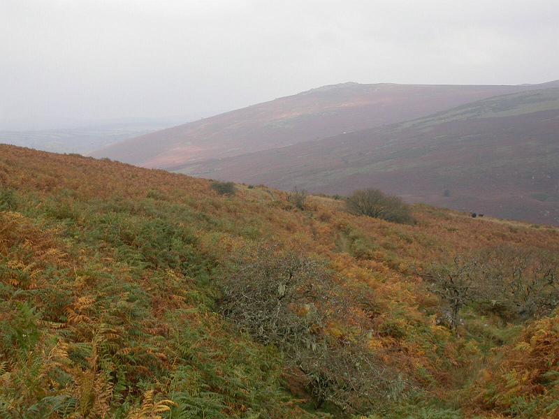 Dartmoor Landscape.jpg